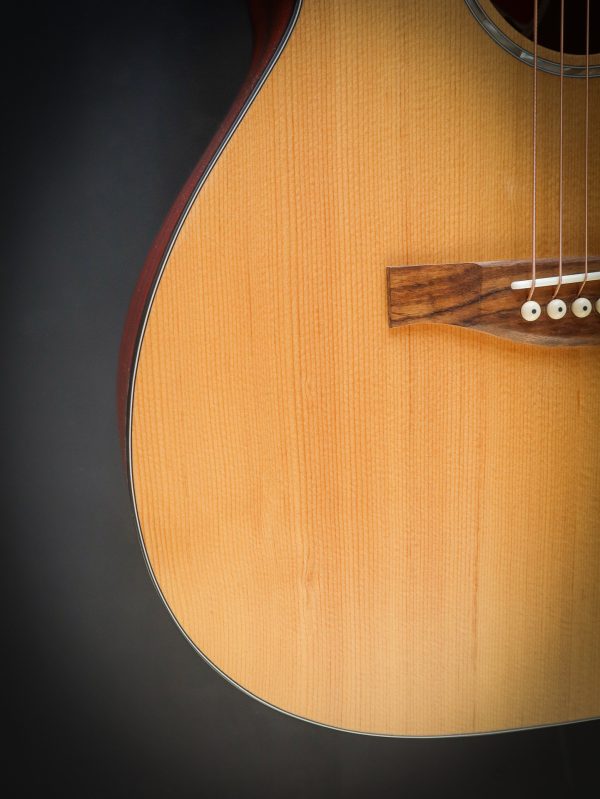 Eastman PCH1 OM – Bild 5