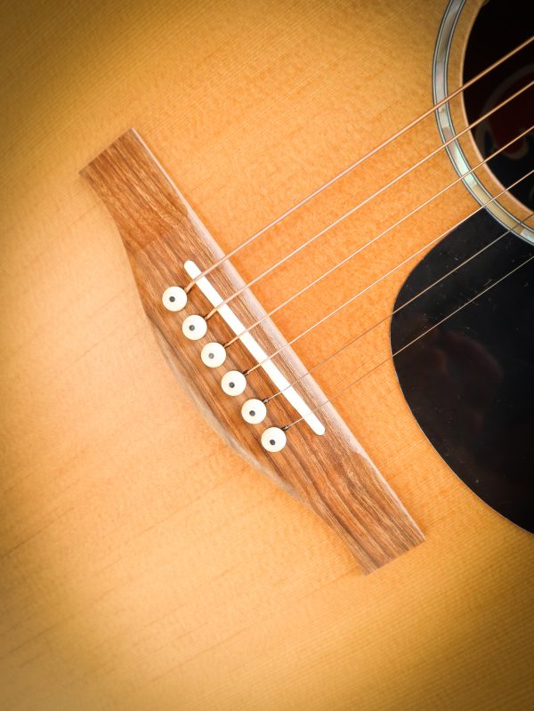 Eastman PCH1 GACE – Bild 8