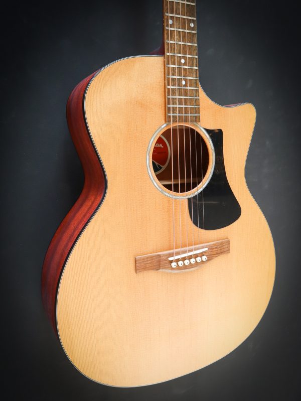 Eastman PCH1 GACE – Bild 4