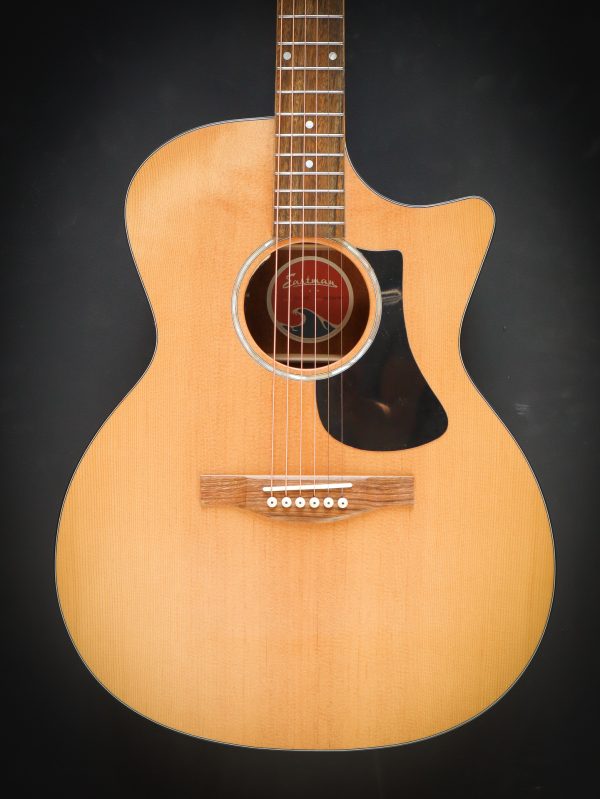 Eastman PCH1 GACE – Bild 3