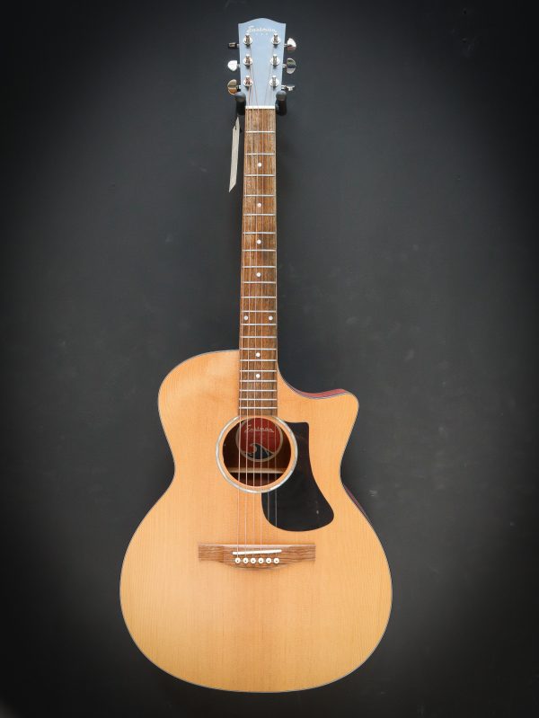 Eastman PCH1 GACE – Bild 2