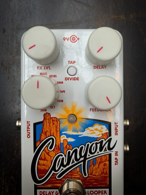 Electro-Harmonix Canyon – Bild 2