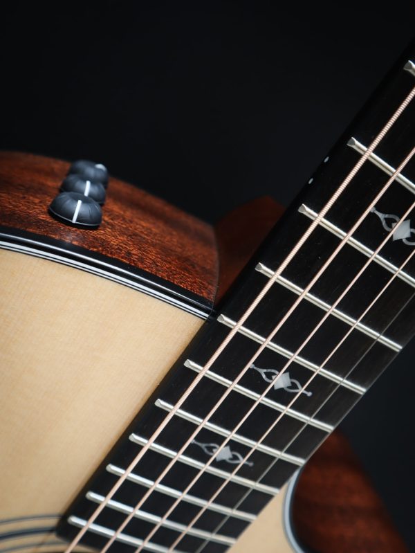 Taylor 314ce V-Class bracing – Bild 12