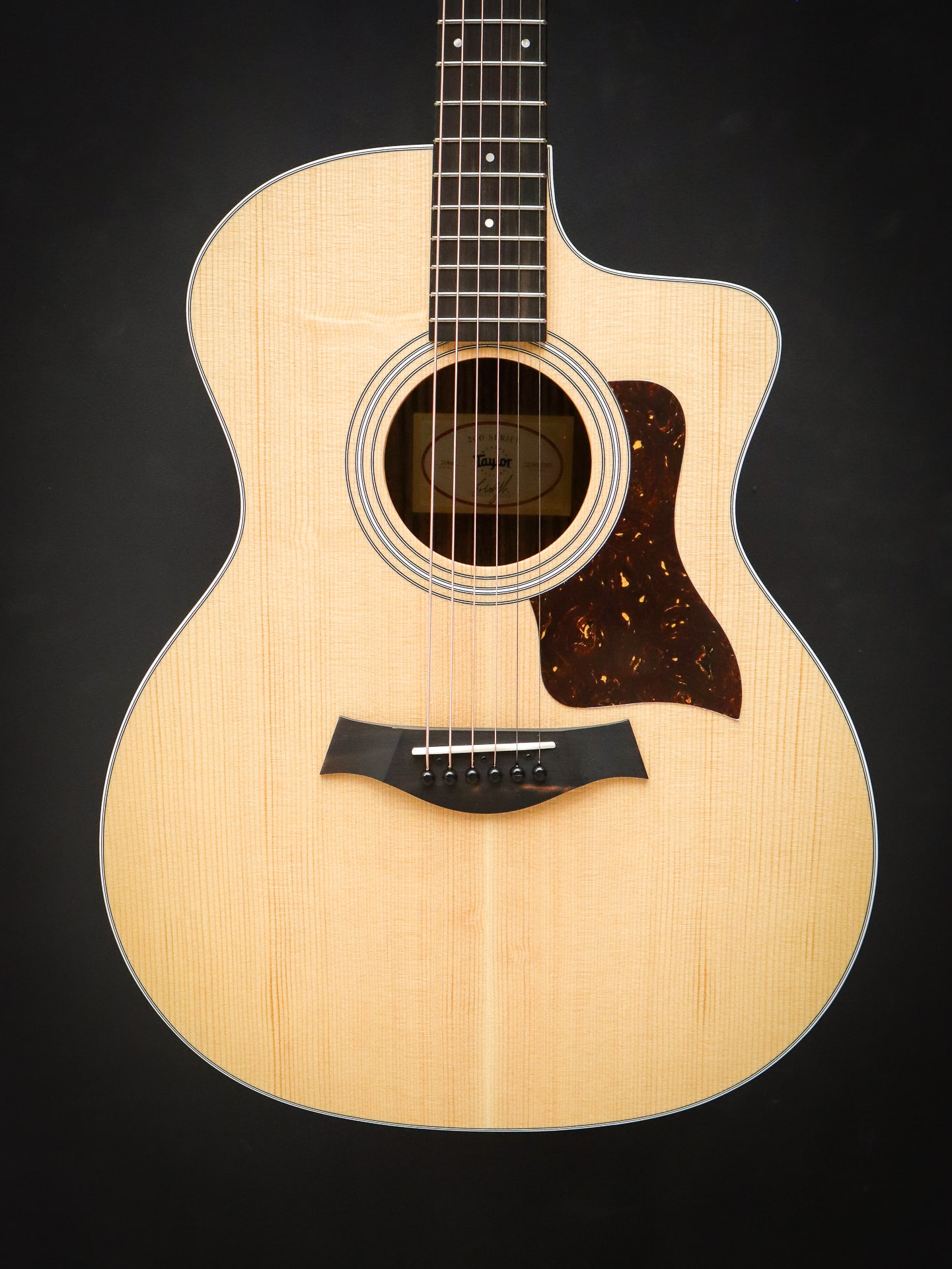 Taylor-214ce-12.jpg