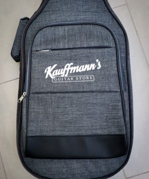 Gig bag for electric guitar