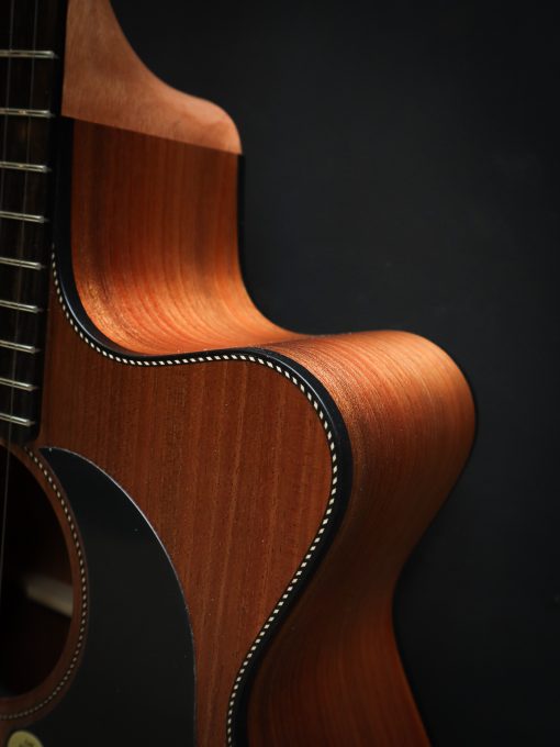 Maton EBW 808C Blackwood – Bild 6