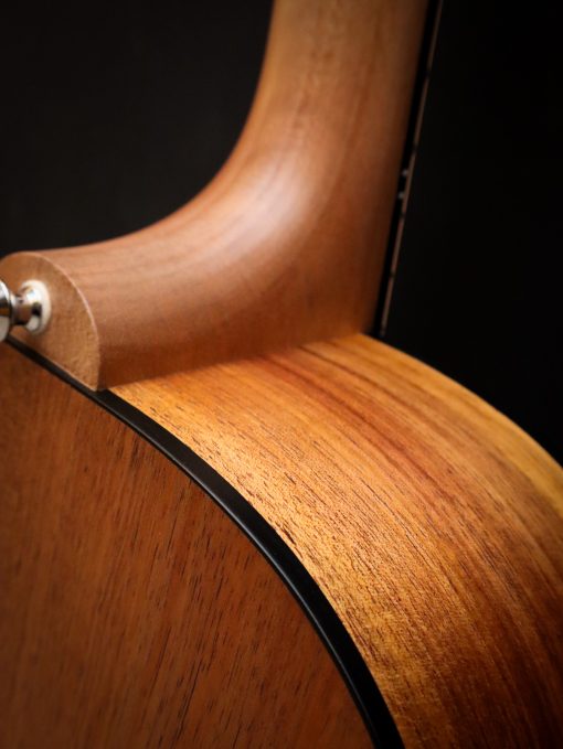 Maton Blackwood Series 70C – Bild 17