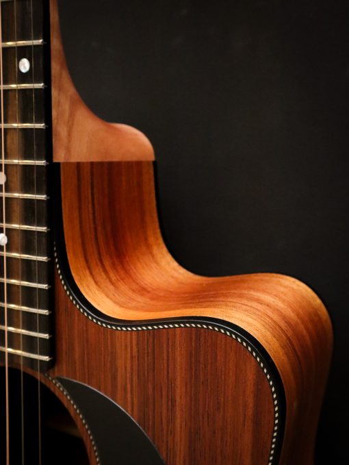 Maton Blackwood Series 70C – Bild 8