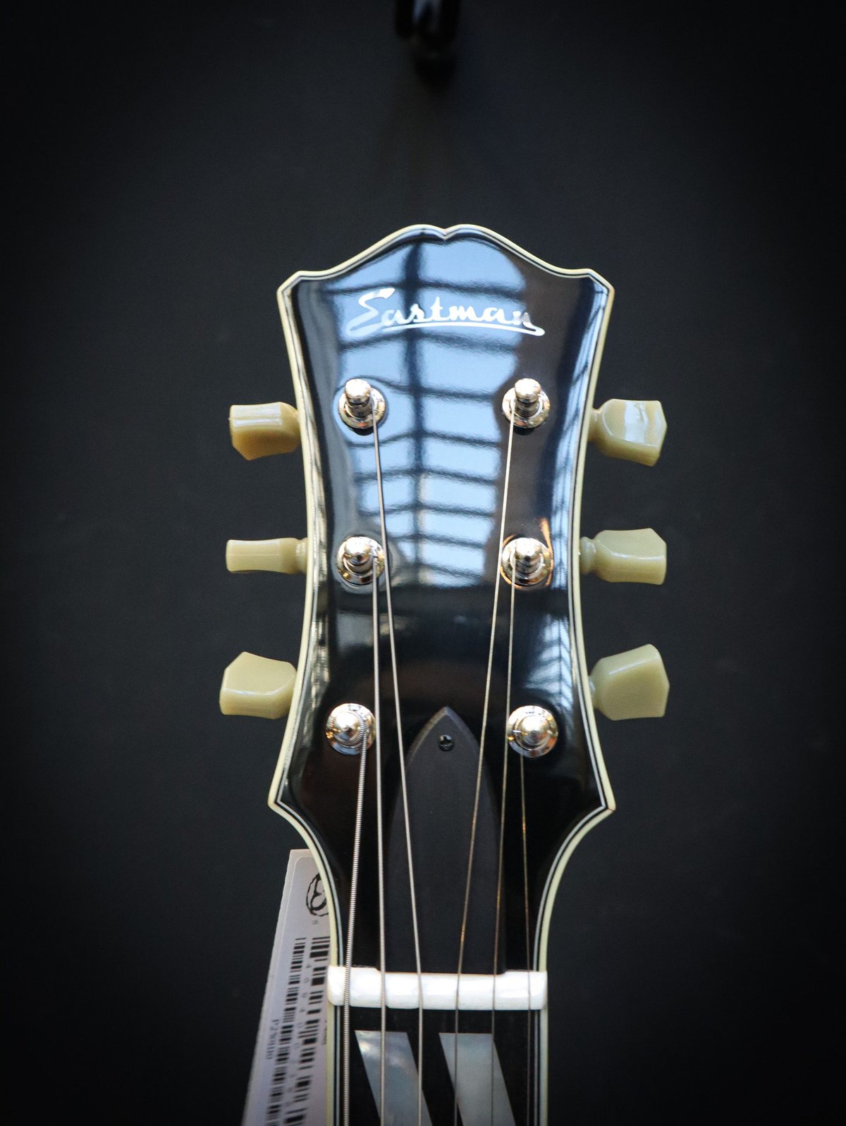 Eastman T486 – Bild 10