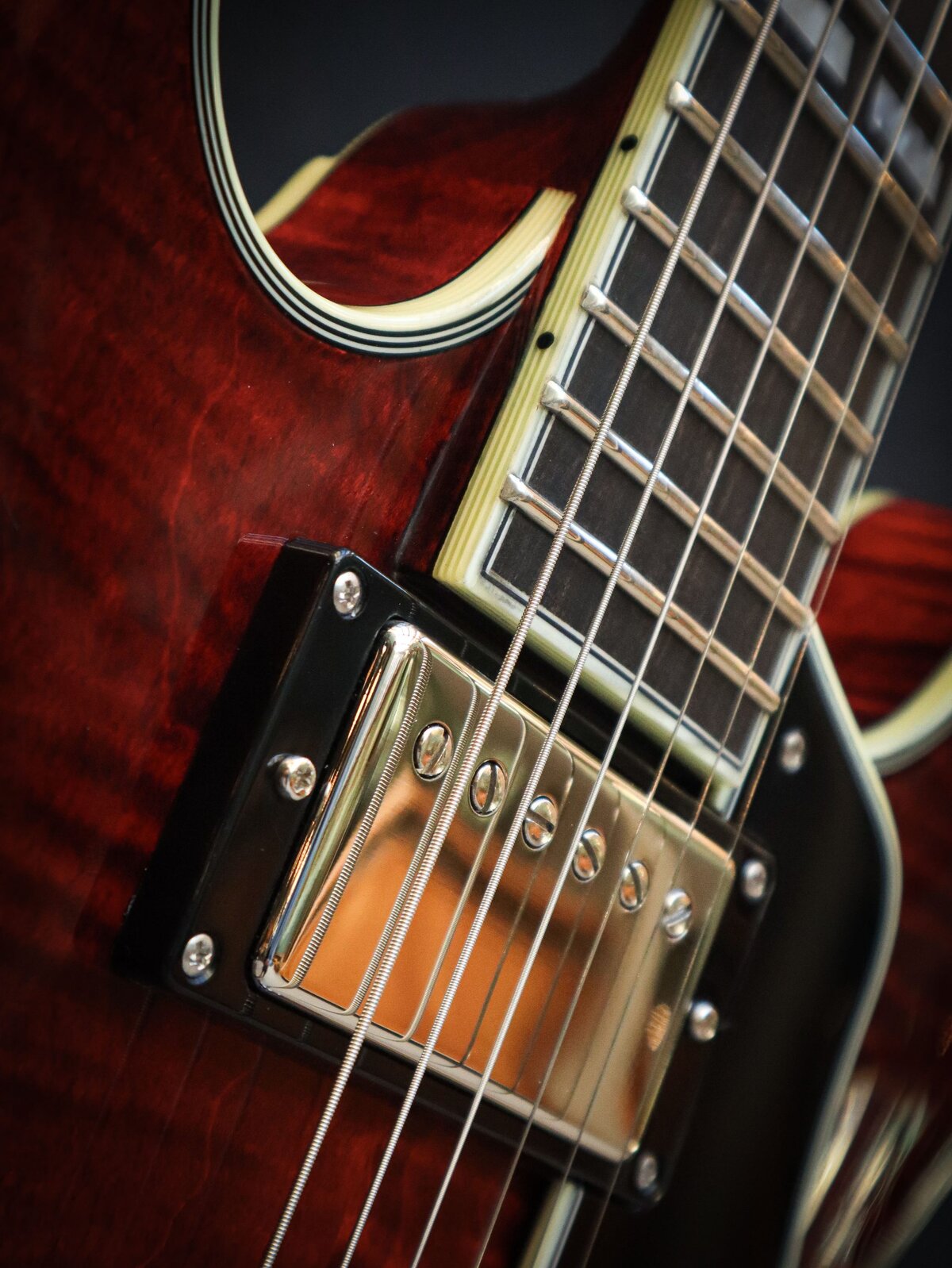 Eastman T486 – Bild 6