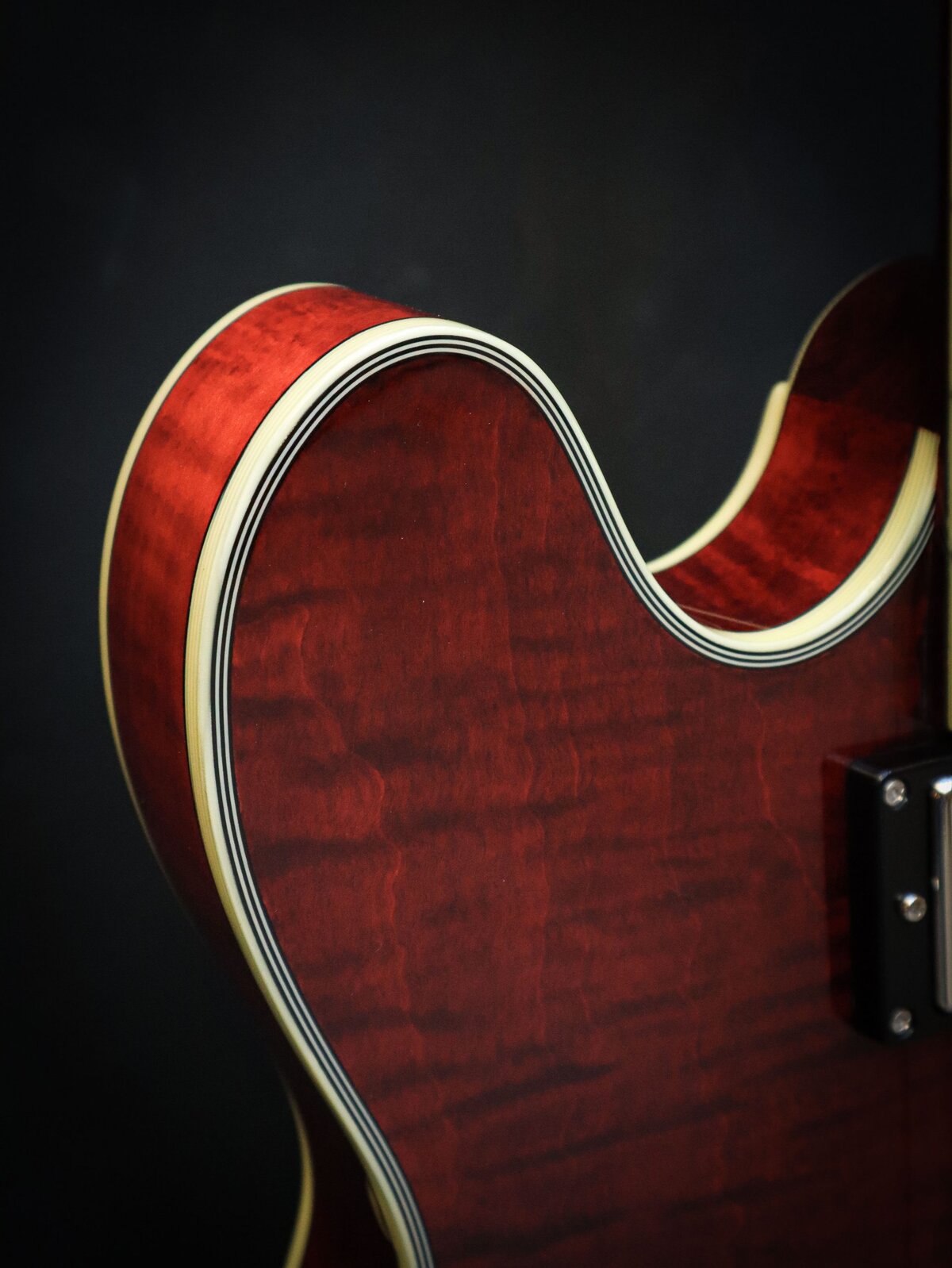 Eastman T486 – Bild 5