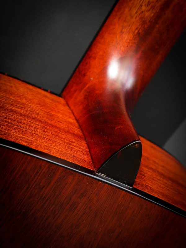 Eastman E1 D CLA – Bild 15