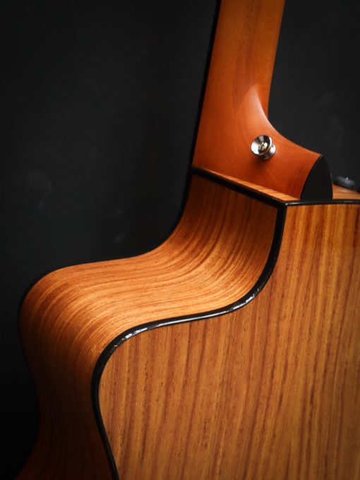 Taylor 214ce Plus – Bild 18
