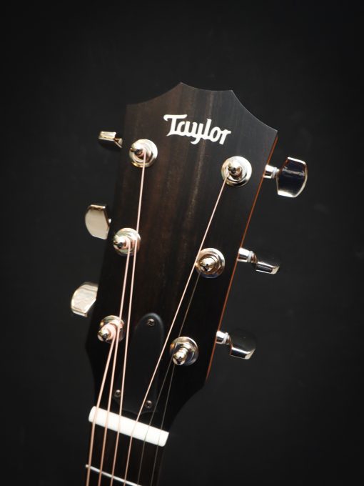 Taylor 214ce Plus – Bild 14