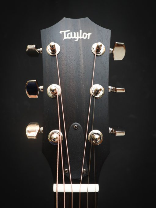 Taylor 214ce Plus – Bild 13