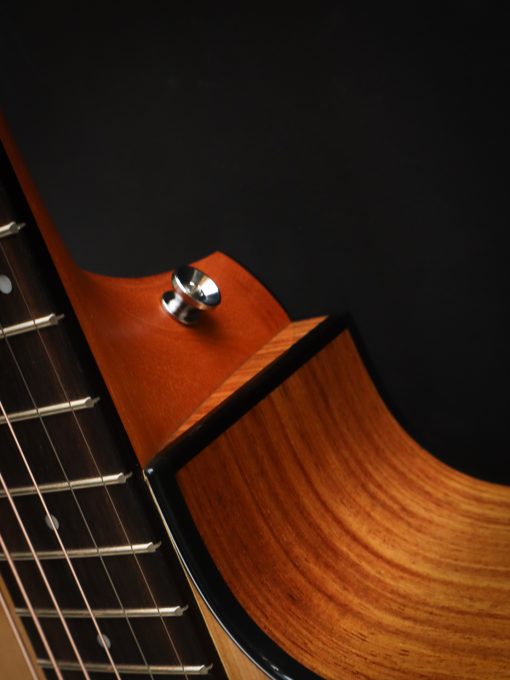 Taylor 214ce Plus – Bild 10