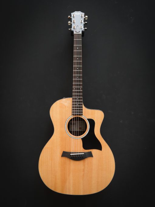 Taylor 214ce Plus – Bild 2