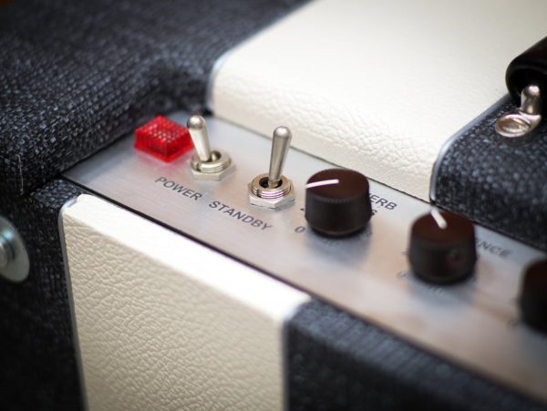 Kauffmann Silverado Combo Amp – Bild 6