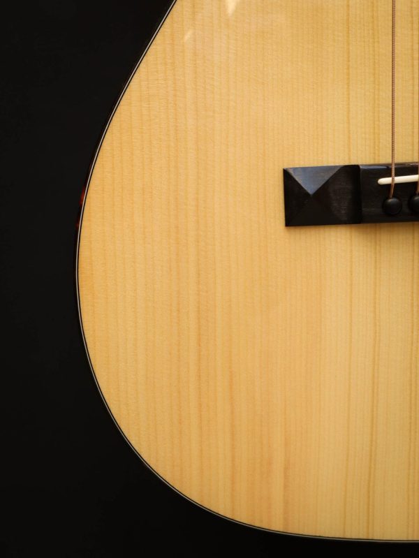 Eastman E10P – Bild 6