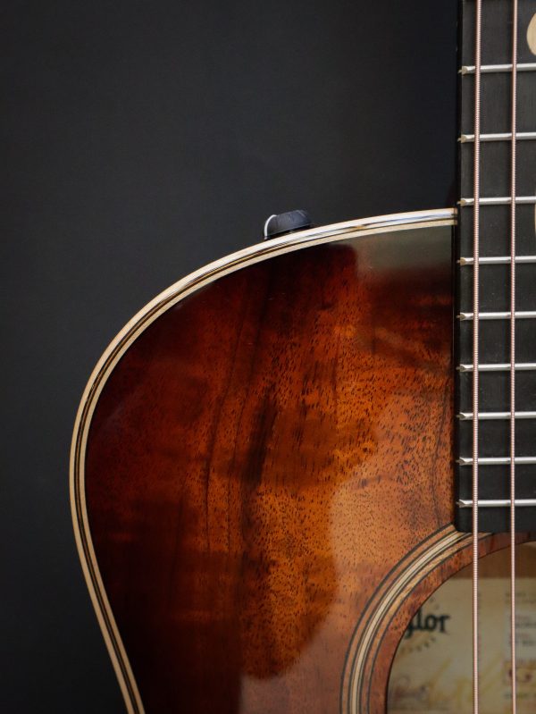 Taylor GT K21e – Bild 6
