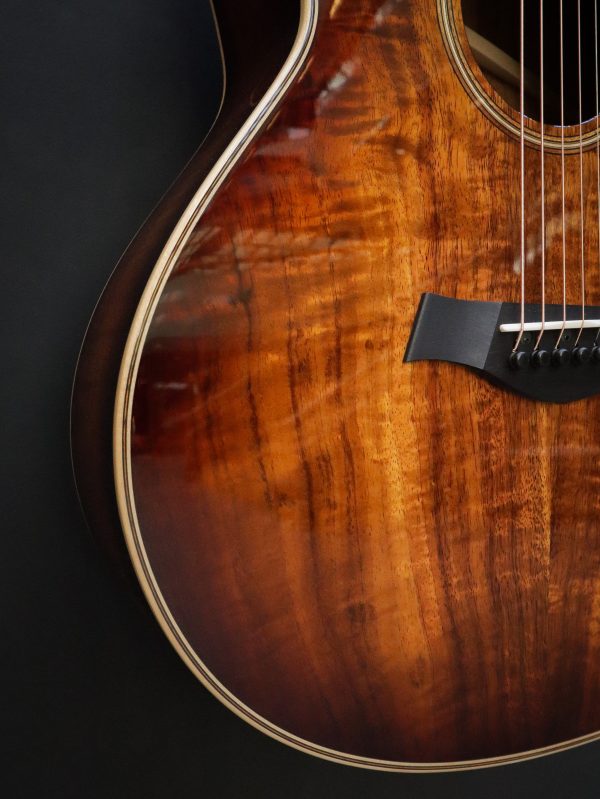 Taylor GT K21e – Bild 10