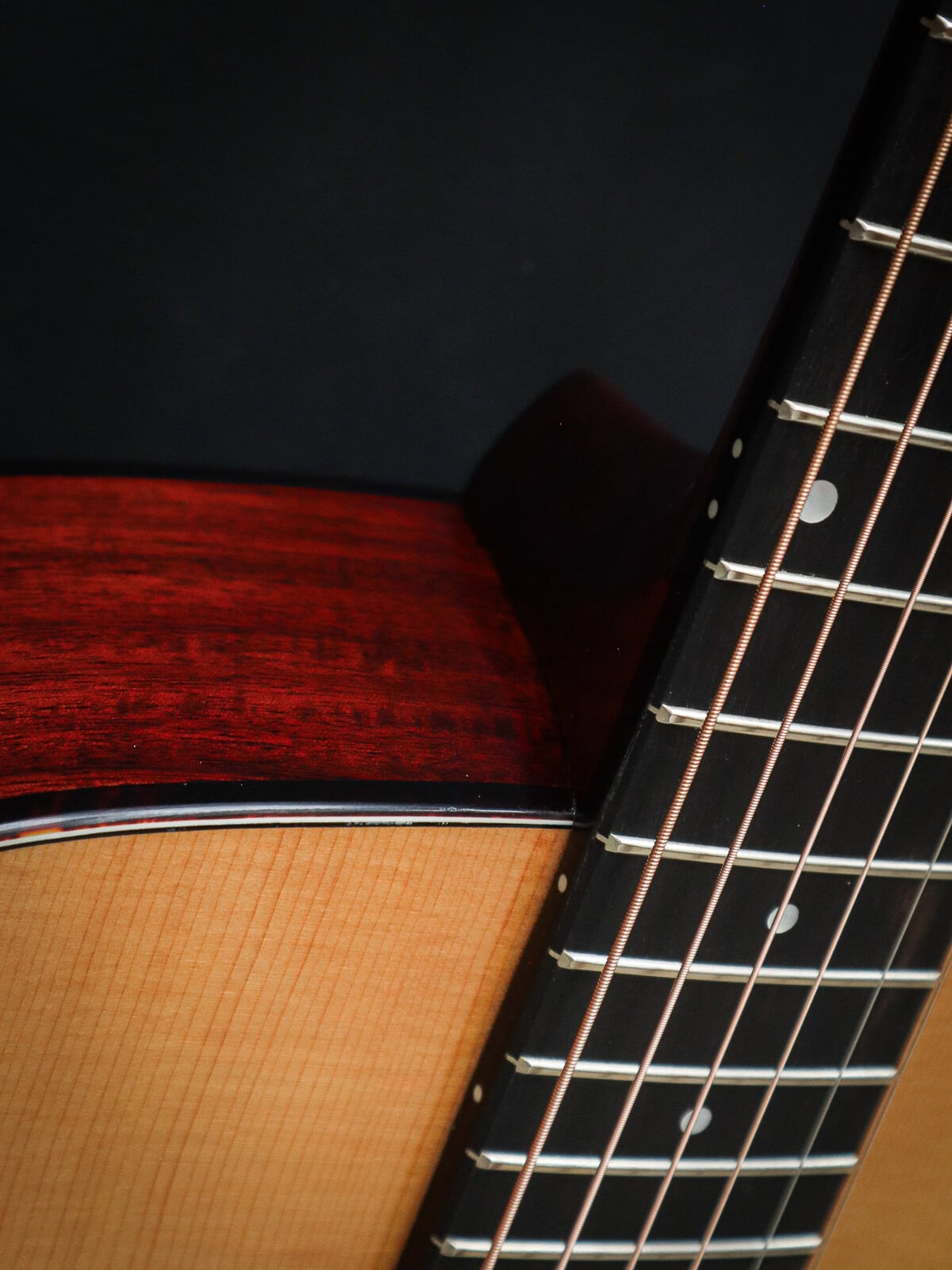 Eastman E6 OM TC – Bild 9