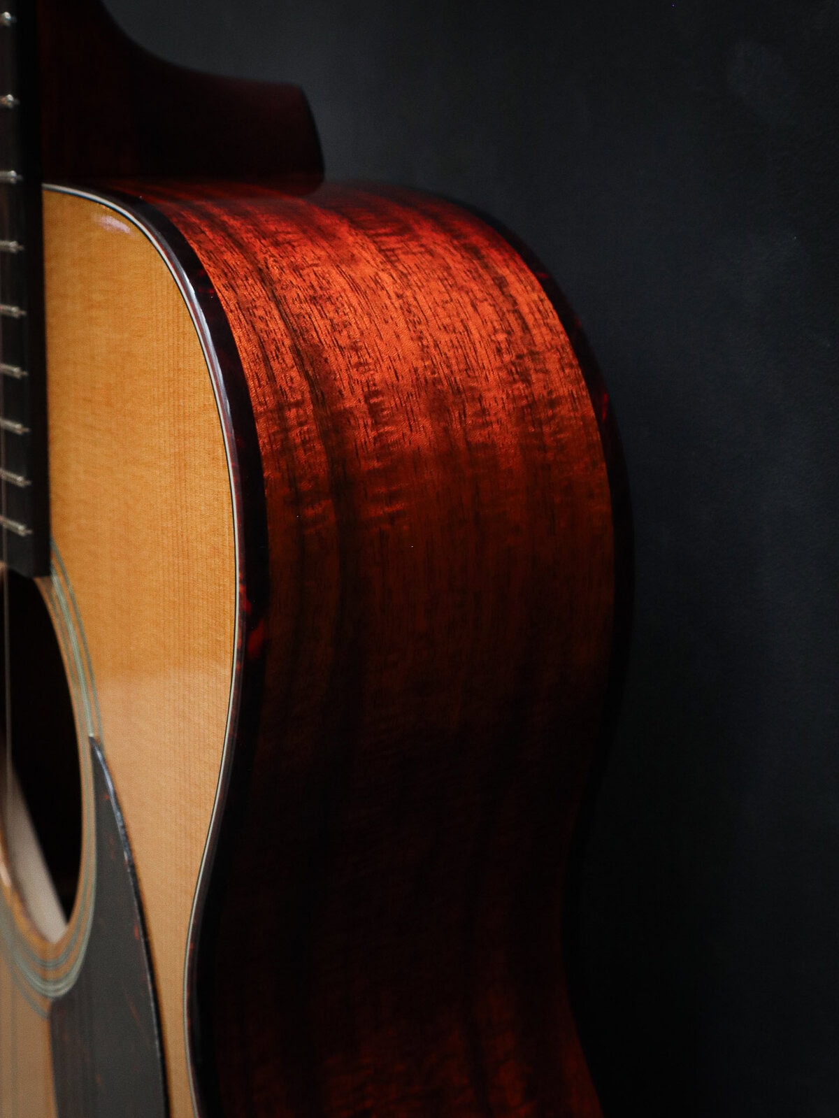 Eastman E6 OM TC – Bild 10