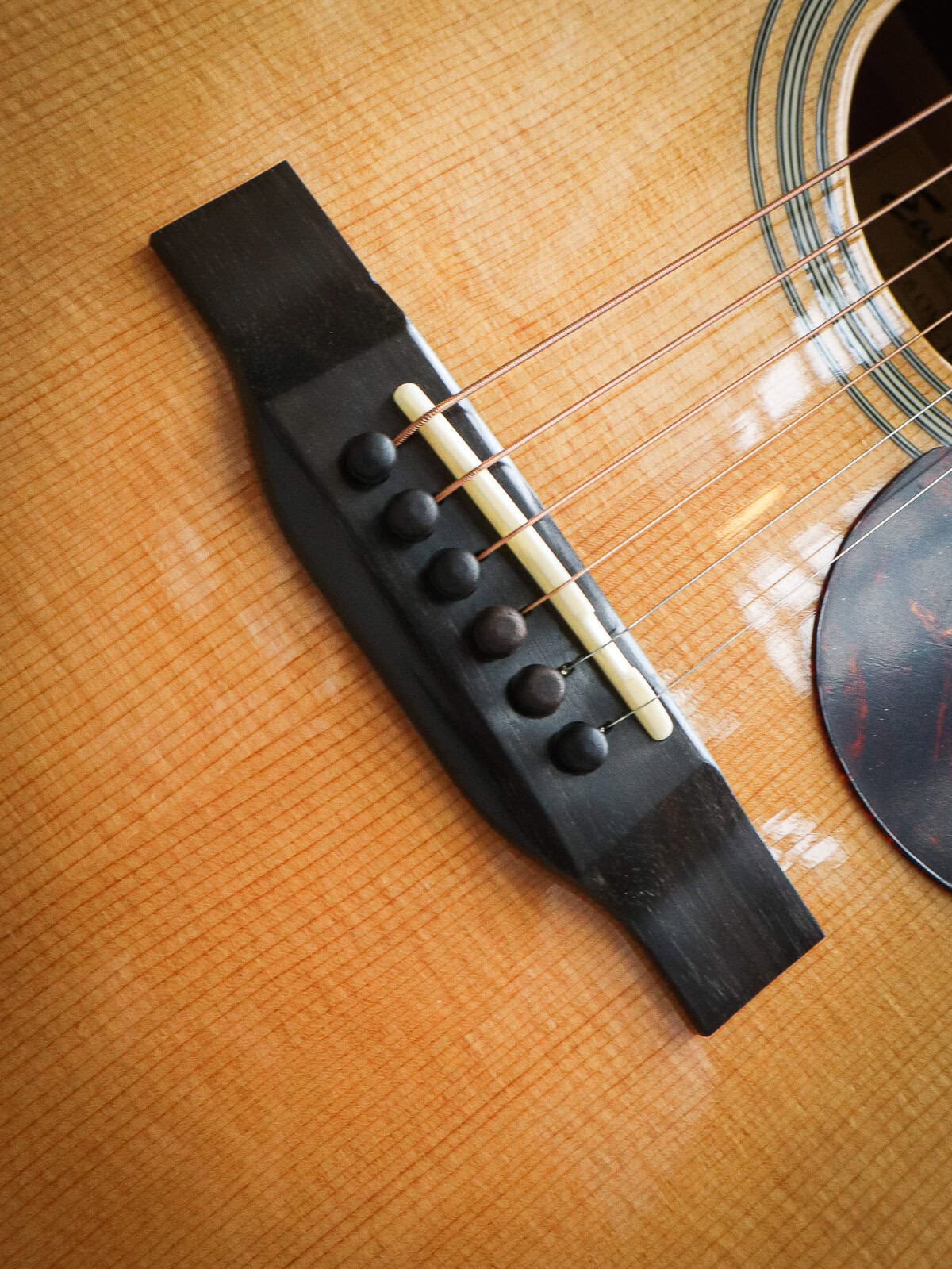 Eastman E6 OM TC – Bild 6