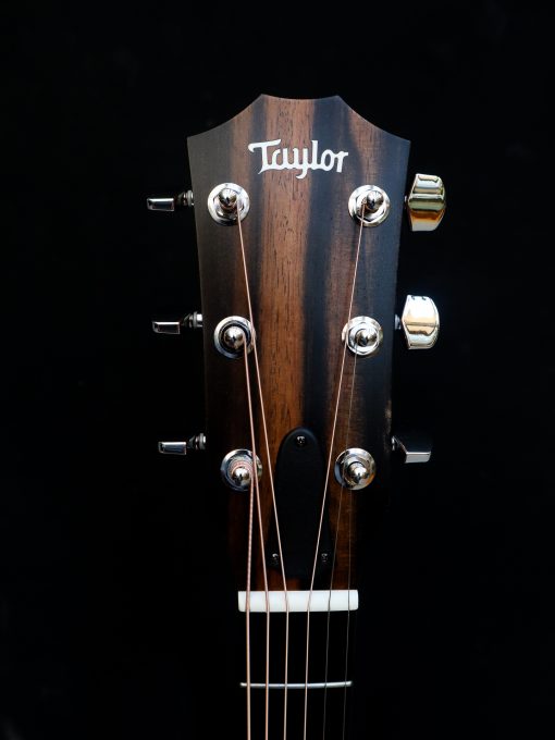 Taylor 214 CE – Bild 11