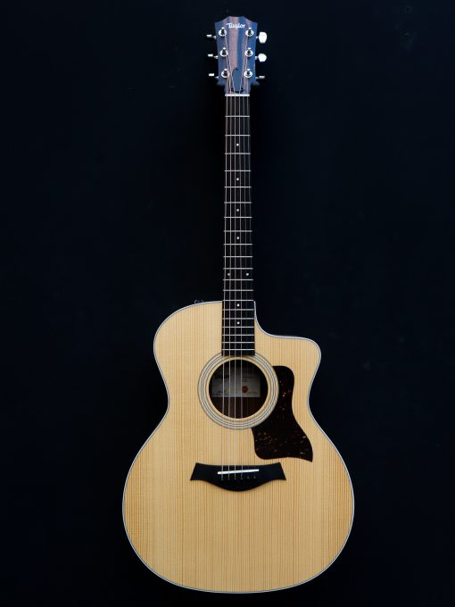 Taylor 214 CE – Bild 2