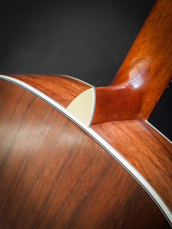 Eastman E22 SS/V-SB – Bild 17