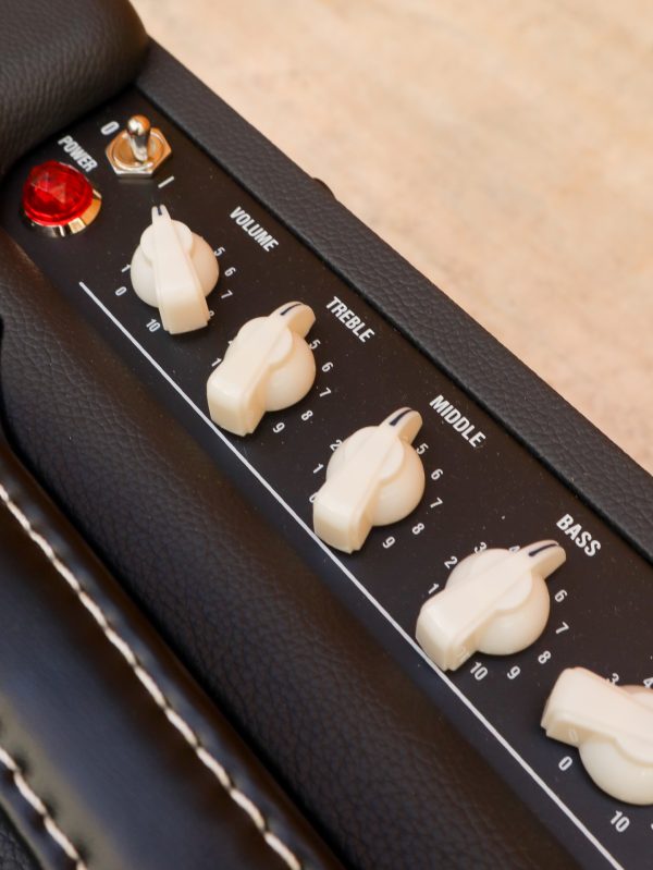 Laney Cub Super 10 – Bild 3