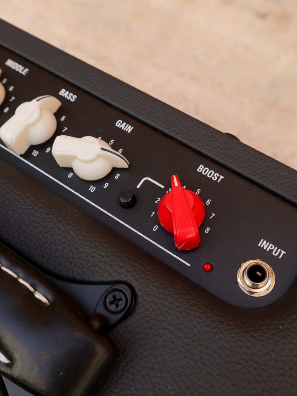 Laney Cub Super 10 – Bild 4