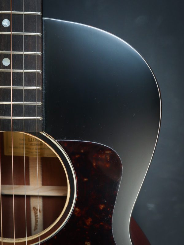 Eastman E1 OOSS-SB – Bild 8