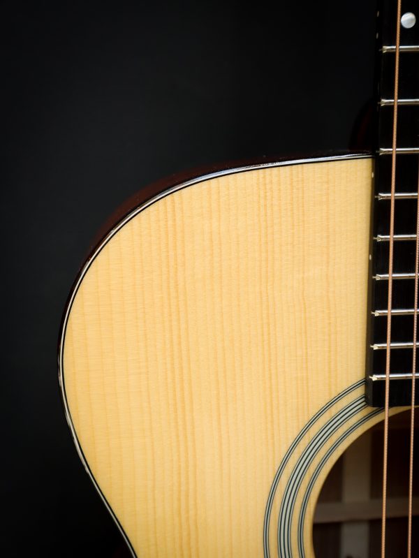 Eastman E10 OM – Bild 15