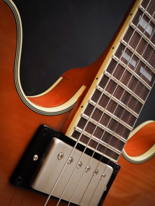 Stanford CR Thinline 35 Vintage Blonde FM – Bild 7