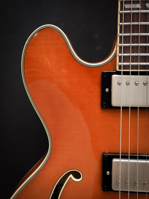 Stanford CR Thinline 35 Vintage Blonde FM – Bild 4