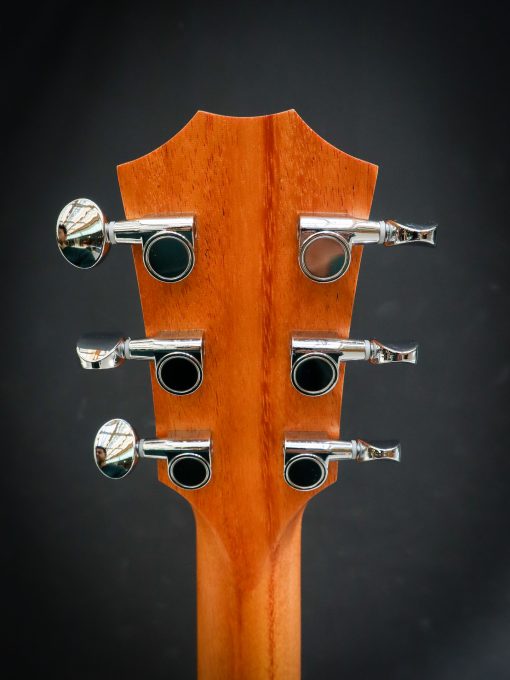 Taylor GS Mini Sapele – Bild 7