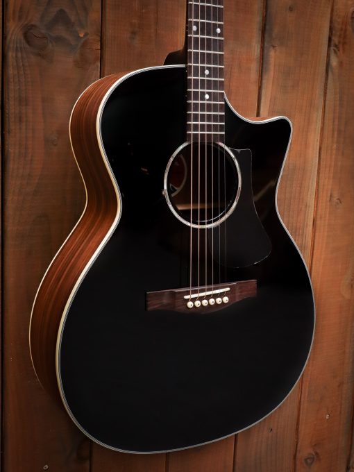 Eastman PCH2 Schwarz – Bild 4