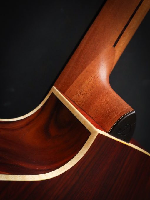 Dowina Master Series Cocobolo GAC – Bild 17