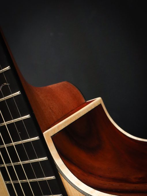 Dowina Master Series Cocobolo GAC – Bild 9
