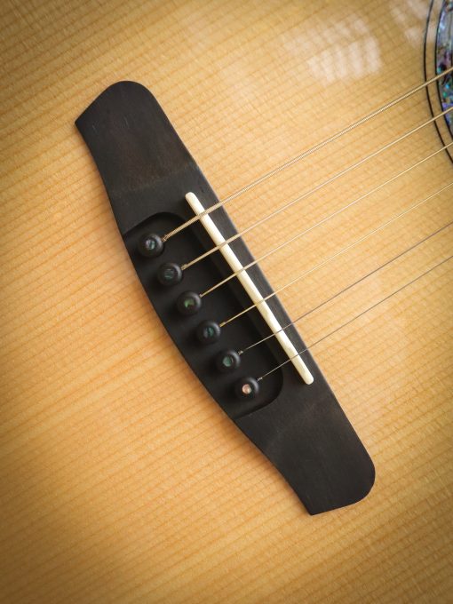 Dowina Master Series Cocobolo GAC – Bild 7