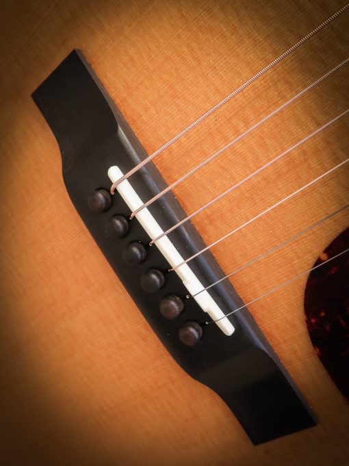 Eastman E1 D – Bild 8
