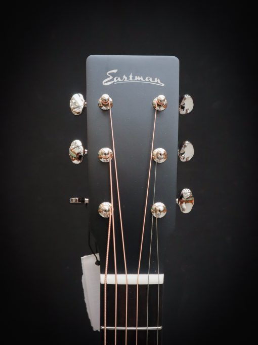 Eastman E1D Special – Bild 10