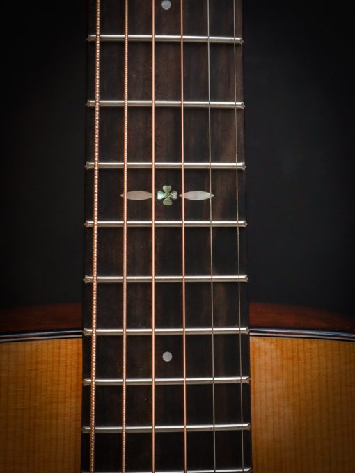 Eastman E1D Special – Bild 9