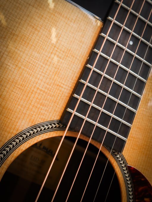 Eastman E1D Special – Bild 8
