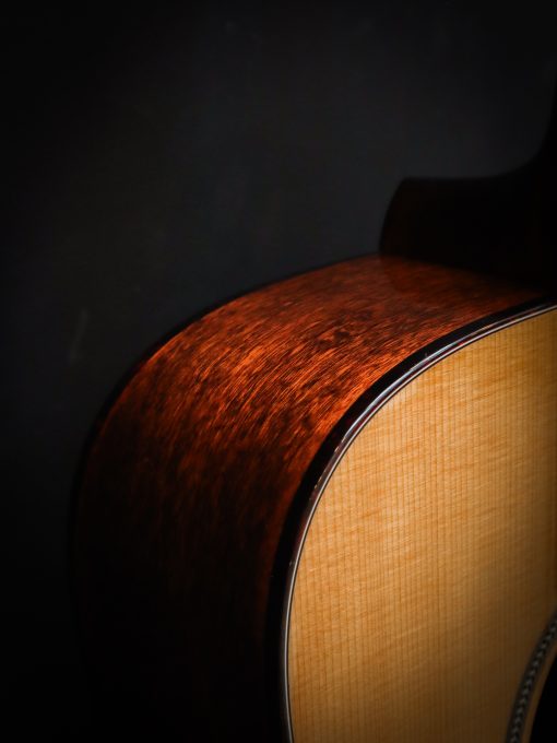 Eastman E1D Special – Bild 6