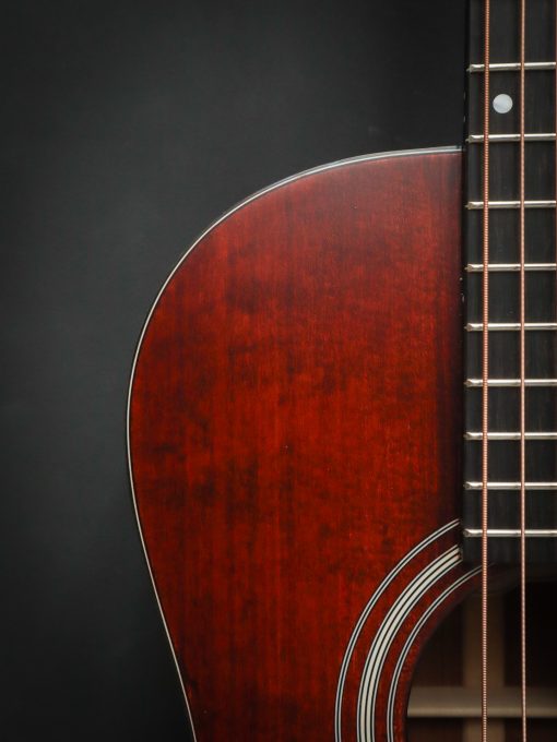 Eastman E1P Bluesmaster Limited Edition – Bild 5