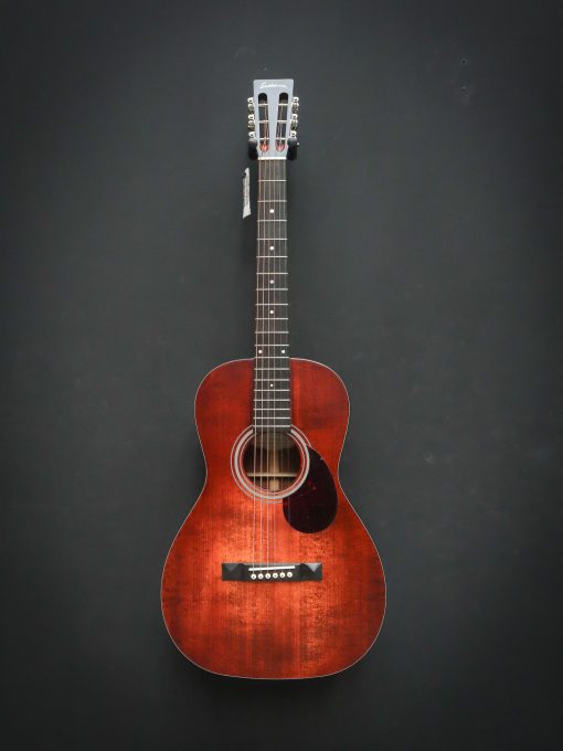 Eastman E1P Bluesmaster Limited Edition – Bild 2
