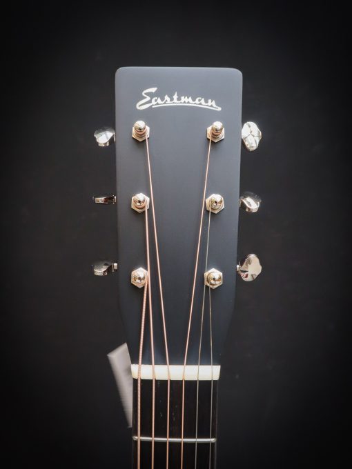 Eastman E6D-TC – Bild 9